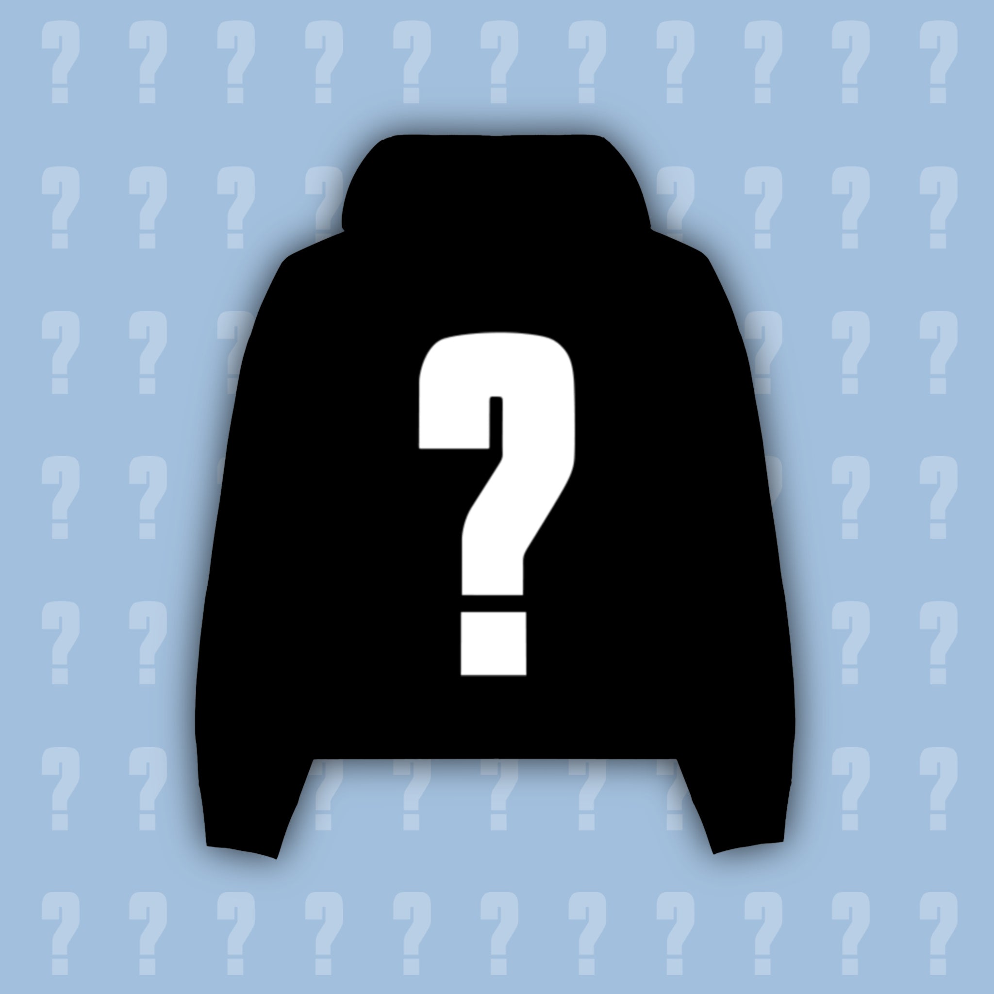 MYSTERY HOODIE